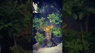 Download lagu Jangan Usil terhadap amalan orang lain semua ada pertanggung jawabannya masing masing kok  #viral mp3