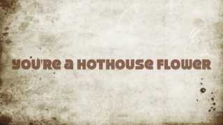 Hothouse by 78Violet Lyric Video