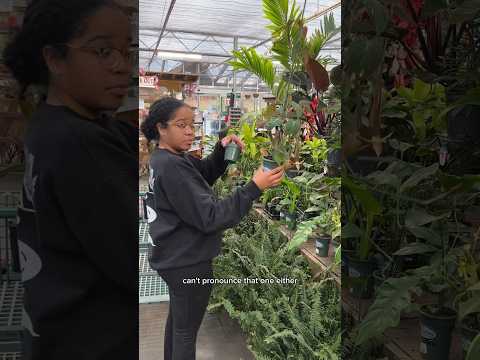 , title : 'Winter nursery houseplant haul sale all of these for $52! #houseplants #nursery #sale #shorts'