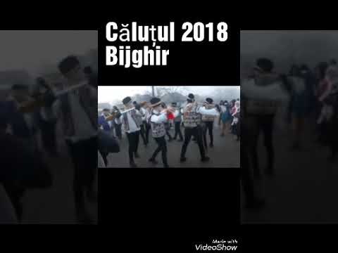 Călutul Bijghir 2018
