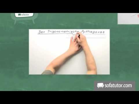 Versuche zur Fotosynthese und Atmung | Biologie | Pflanzen und Pilze