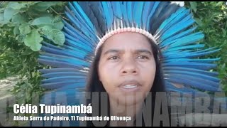 Medidas contra o COVID19 e ameaças