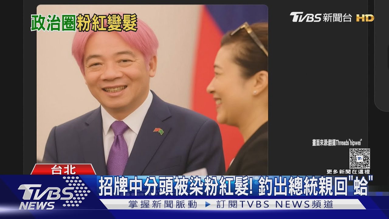 政壇颳BLACKPINK旋風! 總統也「被染髮」