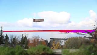 white wine and fried chicken