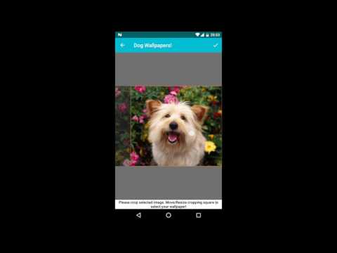 Dog Wallpapers! Video