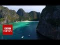 Maya Bay The Beach Nobody Can Touch BBC News