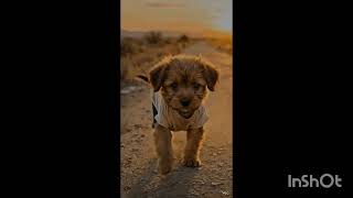 Download lagu https://youtube.com/@youtuber-z3h7h?si=OstXtvWutrWLFyJk mp3 Download lagu https://youtube.com/@youtuber-z3h7h?si=OstXtvWutrWLFyJk mp3