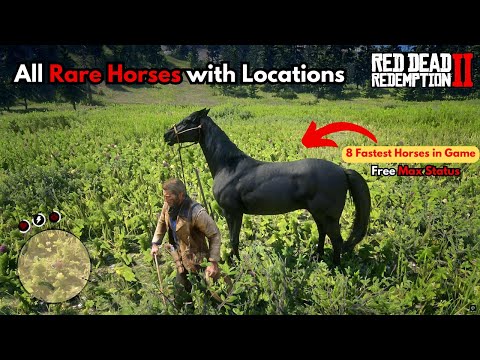 All Rare Horses Locations | Red Dead Redemption 2 - 2025