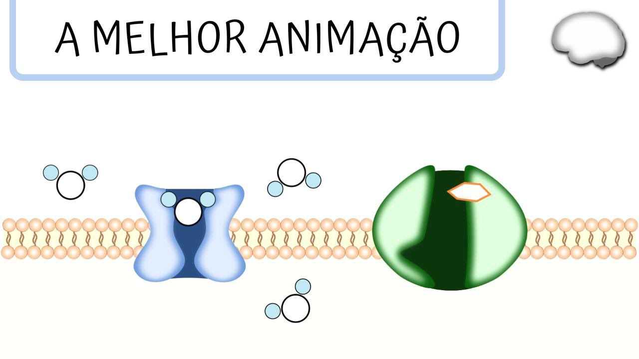 TRANSPORTE PASSIVO - Difusão Facilitada e Aquaporinas