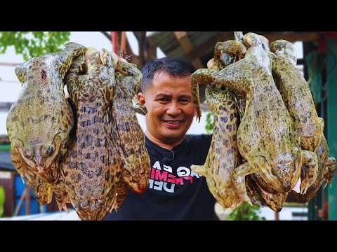 What China Does With These Frogs Will Make Your Blood Run Cold! 🐸