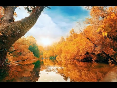 There's Magic In The Air - Shelley Music Publishers