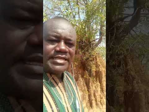 How To Use Anthill Sand To Be A Billionaire,+233243489751,