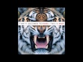 Thirty Seconds to Mars - Vox Populi #8