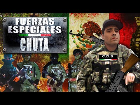 Fuerzas Especiales CHUTA: En REDES sicarios de LOS CHAPITOS se VISTEN de MILITARES para ENGAÑAR