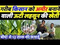 लहसुन की खेती कब और कैसे करें Lahsun Ki Kheti Kaise Ka