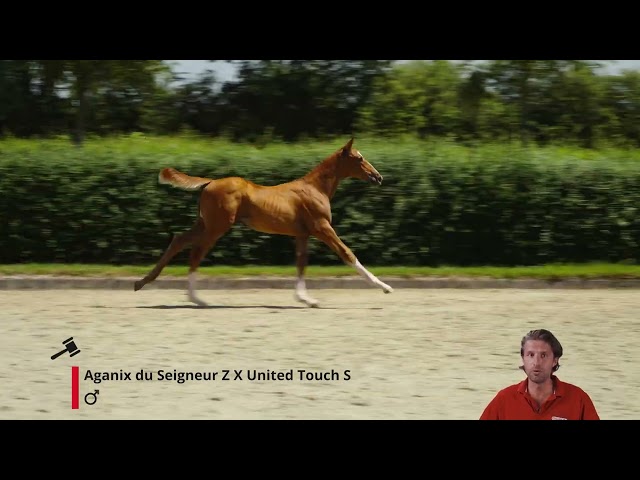 Devil's Touch van 't Gelutt
