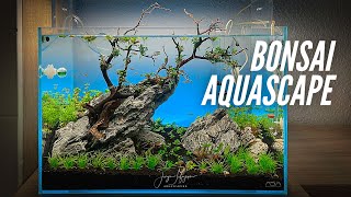 BONSAI AQUASCAPE with Bucephalandra - ADA 45p Aquascaping Tutorial