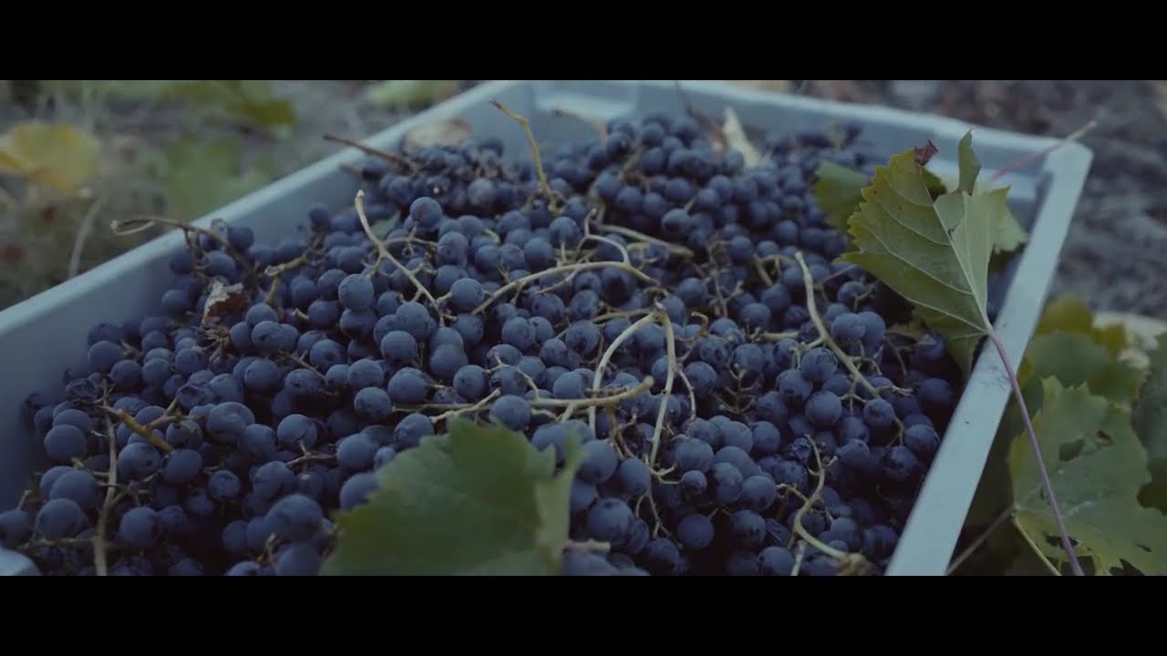 Bodega Diamandes 1/2, por Bodega Diamandes