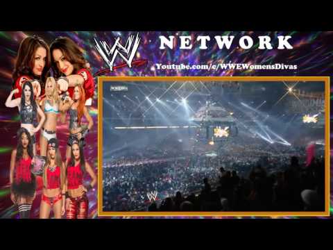 Wrestlemania 26 wwe divas tag team match