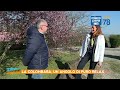 titolo video