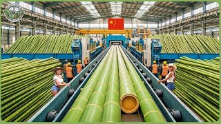How Billions of Bamboo Are Processed Into Eco Products – Inside the World’s Massive Bamboo Industry
