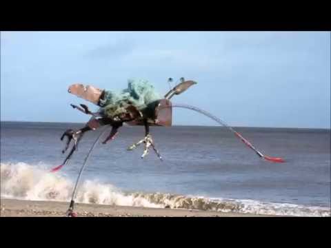 Flying bird from Norfolk