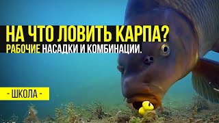 Лучшие комбинации бойлов для ловли карпа
