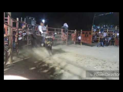 J. Ninio Traviezo de San Balta vs T. Mariguanito  P. San Dionisio Ocotepec