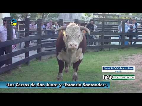 REMATE LOS CERROS DE SAN JUAN 2021