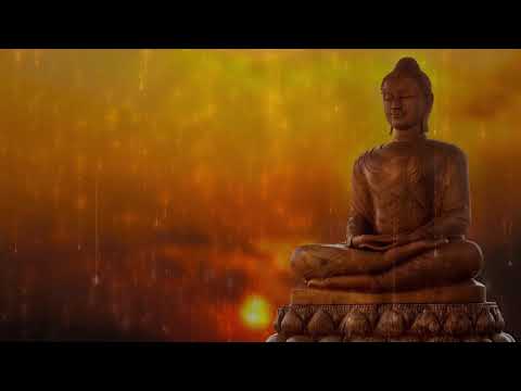 Dharma Dakshina 2020.03.16 Rev Olaganwaththe Chandrasiri |