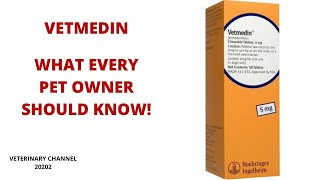 What Every Pet Owner Should Know About The Use Of Vetmedin | Pimobendan Side Effects