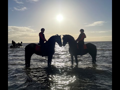 Stal Okkema - trail ride with: Hylke, Geert, Abe, Fyte, Dembe and Zeyn
