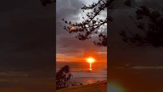 Australia生活の日常がこれなんです、、🥹当たり前になってはいけない。#shorts  #オーストラリアワーホリ #海外生活　＃オーストラリア #オーストラリア生活  #ワーホリ