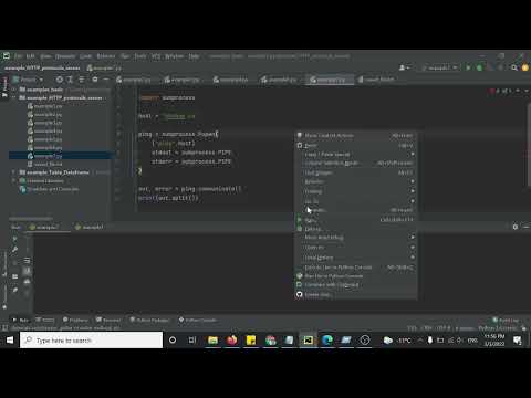 Ping A Website Using Python Example 117