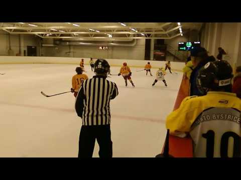 Zubri 2005 Dukla Jihlava 2.tretina 20170226