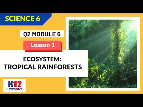 Science 6 Quarter 2 Module 6 Lesson 1 - Ecosystem: Tropical Rainforests