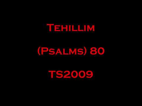 80 Tehillim (Psalms) - Read Along