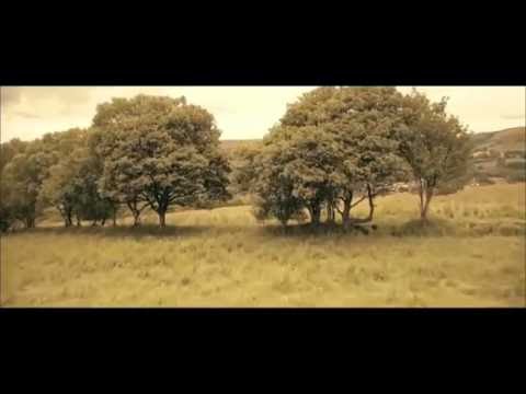 Rhys Meirion a Huw Chiswell - Aderyn Llwyd