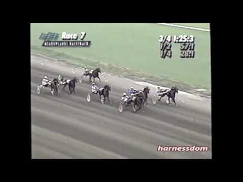1995 Meadowlands TAGLIABUE John Campbell Hambletonian Elimination $100,000