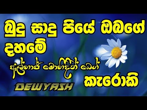 Budu Saduu Piye Obage Mohidin Beg Song Karaoke Without Voice