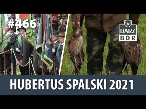 Darz Bór odc. 466 Hubertus Spalski . Historia zatoczyła koło. 10 lat programu Darz Bór.