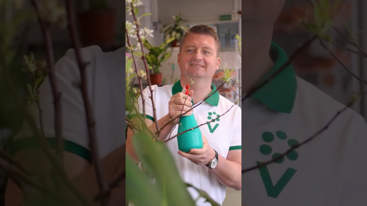 🌿 Хотите окунуться в море цветов и зелени? Приходите в уютные магазины Procvetok! Всегда ждём Вас! 🤗