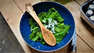 The OPPORTUNIST's Guide to FORAGING #1