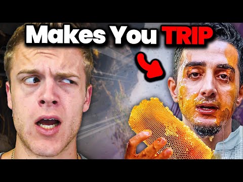 The Nepalese Hallucination Honey