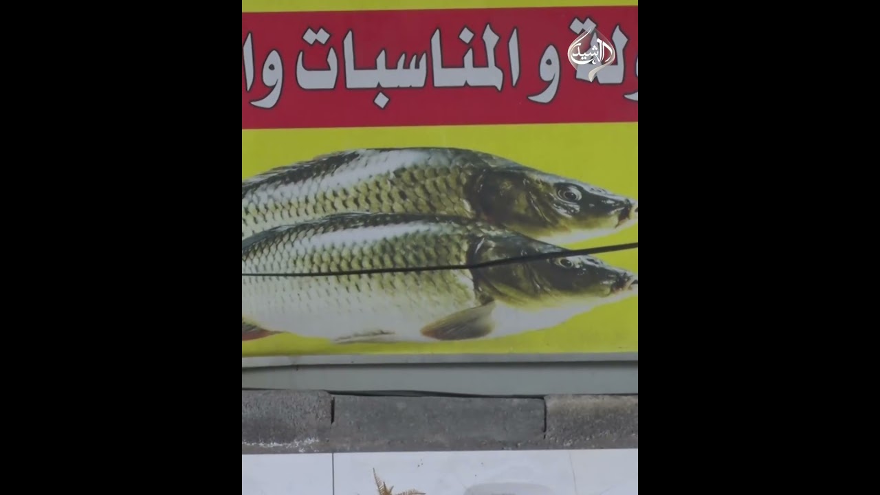 فيديو | وسط غياب الحلول.. أزمات معيشية متلاحقة تربك المواطن