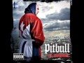 Pitbull  Jealouso - KevOo97 Pitbull  Jealouso