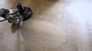 preview picture of video 'Blue Bell Carpet Cleaning by ALL CLEAN!, LLC  [215-538-0290]'
