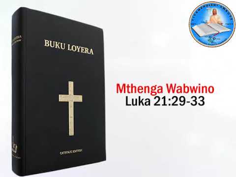*_Kudziwa zizindikiro za Nthawi_(Friday week 34) Fr Paul Lapozo dp_*