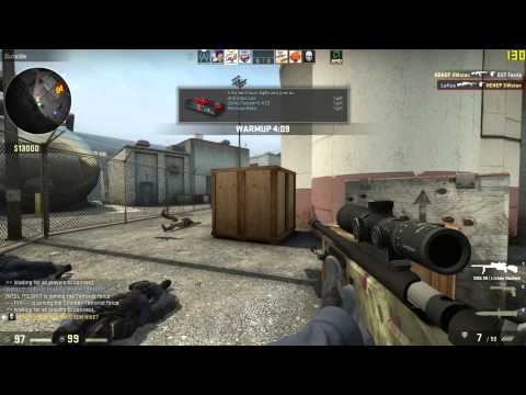 Steam Community :: Video :: CS:GO SSG08 Scout