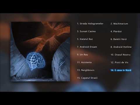 14.Fane Stelaru - E ceva in Nord